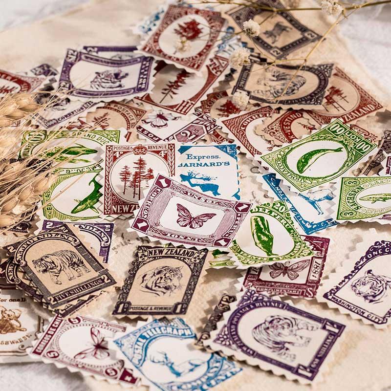 collection-banner-image